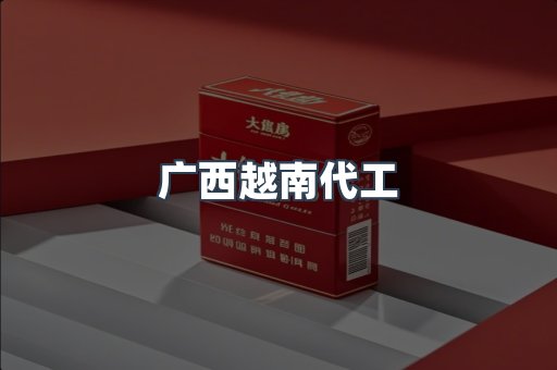 广西越南代工